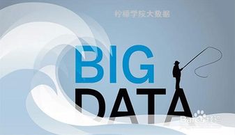 大數據服務的崛起 機遇、挑戰與深遠影響